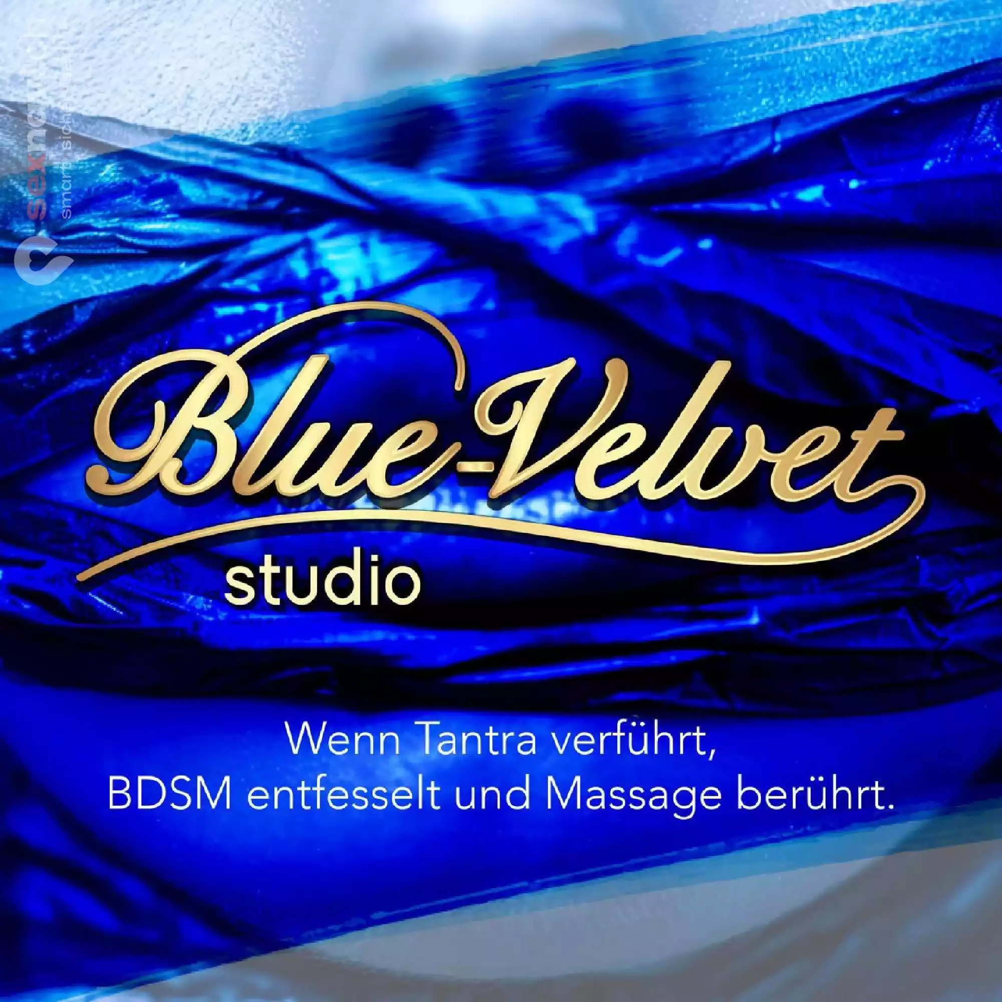 Blue Velvet Studio Blue Velvet Studio Zürich Stadt