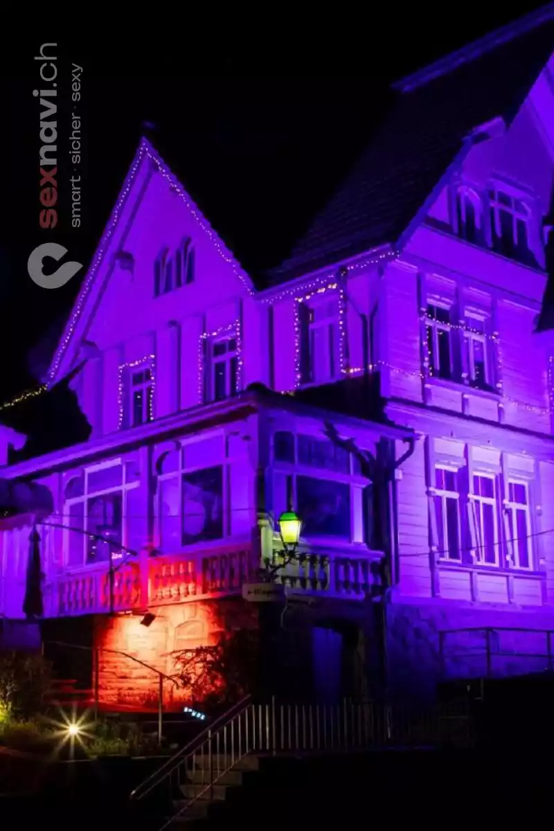 Vip Bar Vip Bar Zürich Umgebung