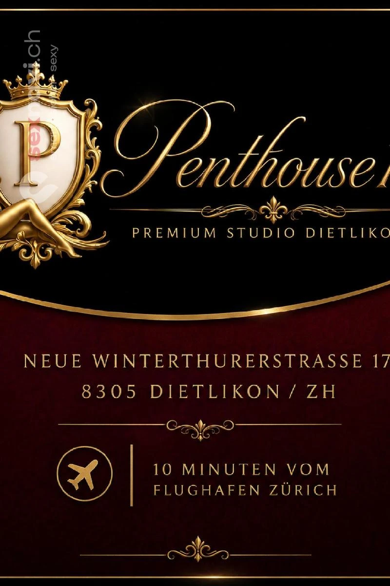 Penthouse 17 Penthouse 17 Z&uuml;rich Umgebung
