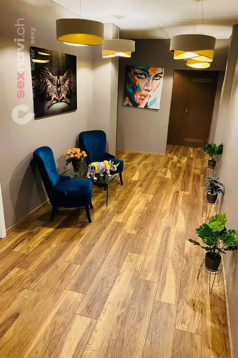 Studio Elite Luzern Studio Elite Luzern Luzern