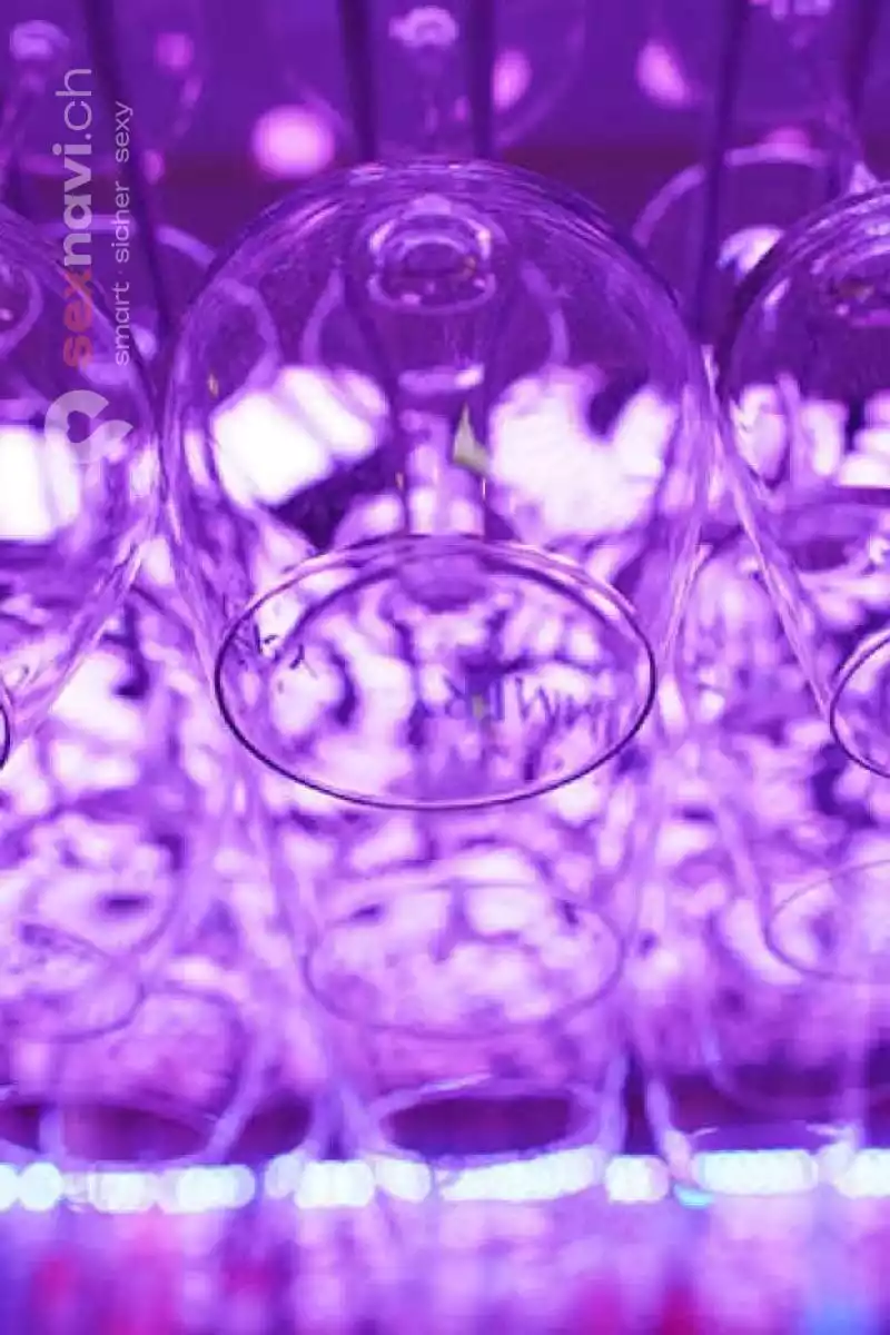 WILD SECRETS HOTEL WILD SECRETS HOTEL Solothurn