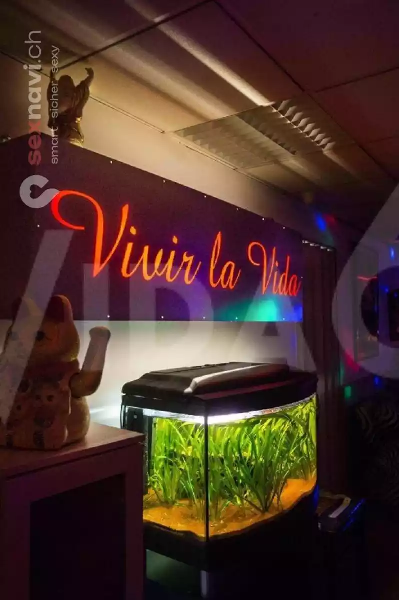 Vida 6 Vida 6 Zürich Umgebung