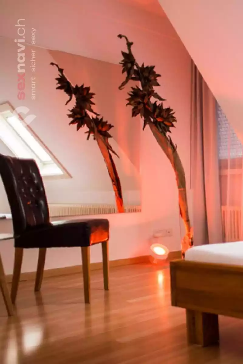 A24 Erotikstudio A24 Erotikstudio Zürich Stadt