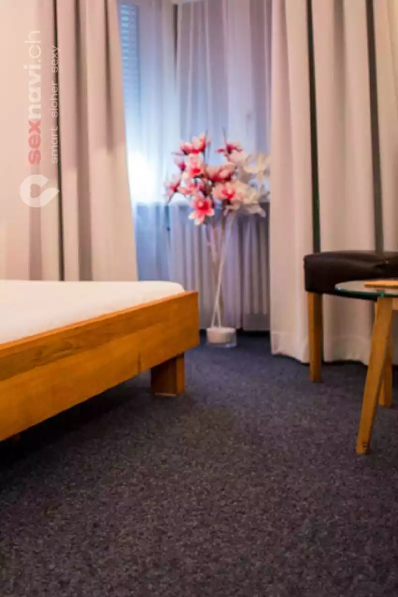 A24 Erotikstudio A24 Erotikstudio Zürich Stadt