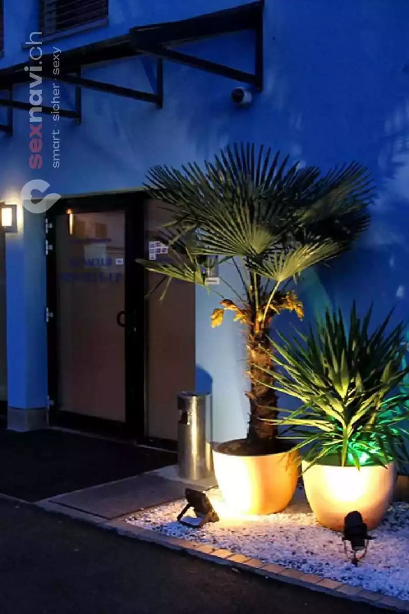 New Blueup New Blueup Zürich Umgebung