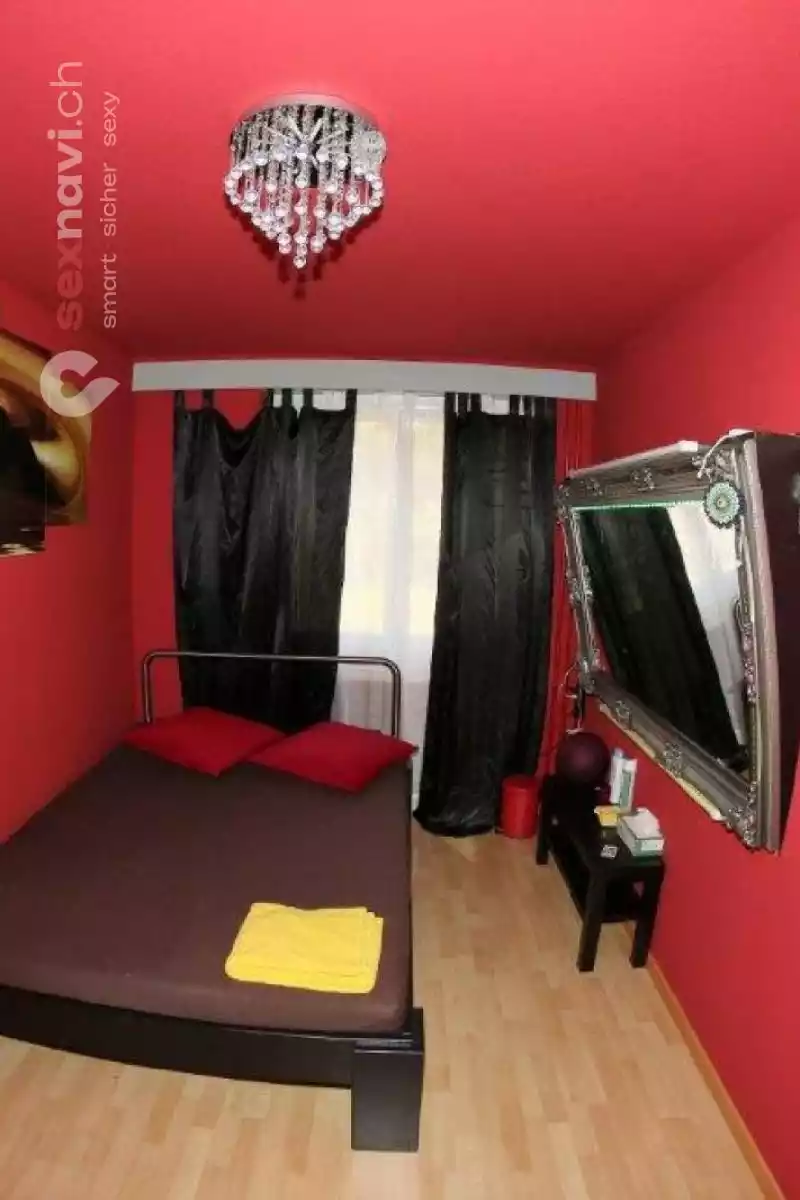 Bunny House Bunny House Solothurn