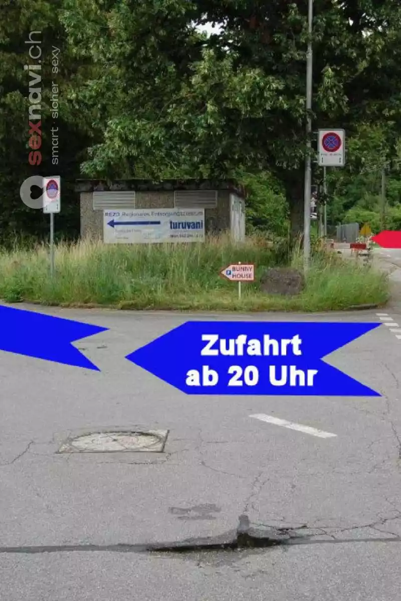 Bunny House Bunny House Solothurn