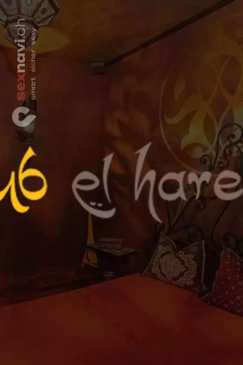 El-Harem El-Harem St.Gallen