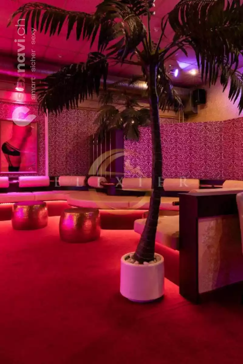 Elixier Elixier Zürich Umgebung