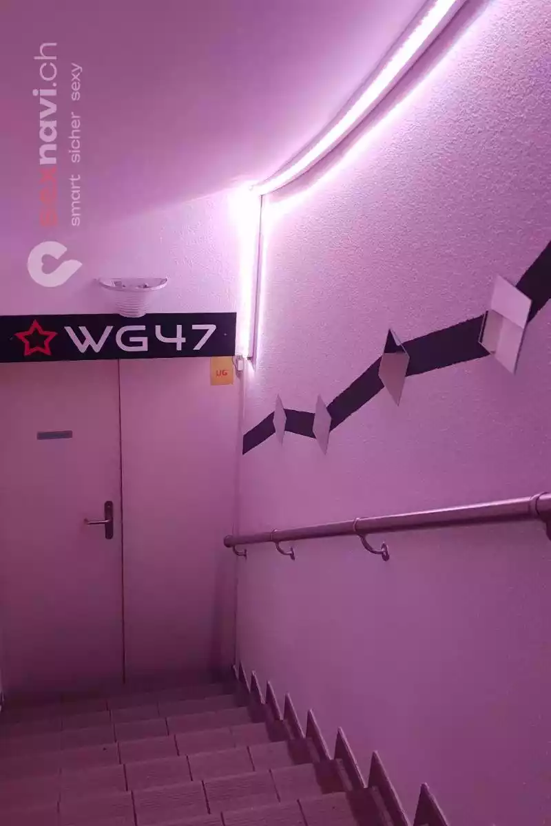 Studio WG 47 Studio WG 47 St.Gallen