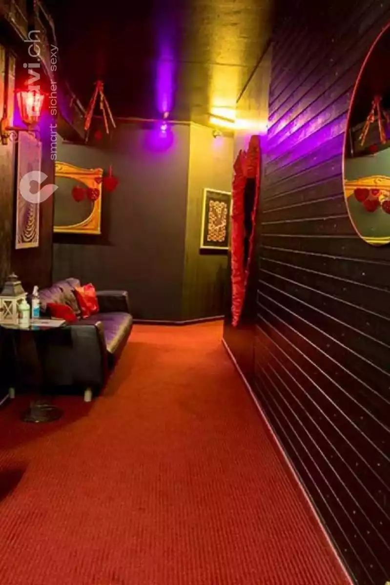 Club Paradiso Club Paradiso Luzern