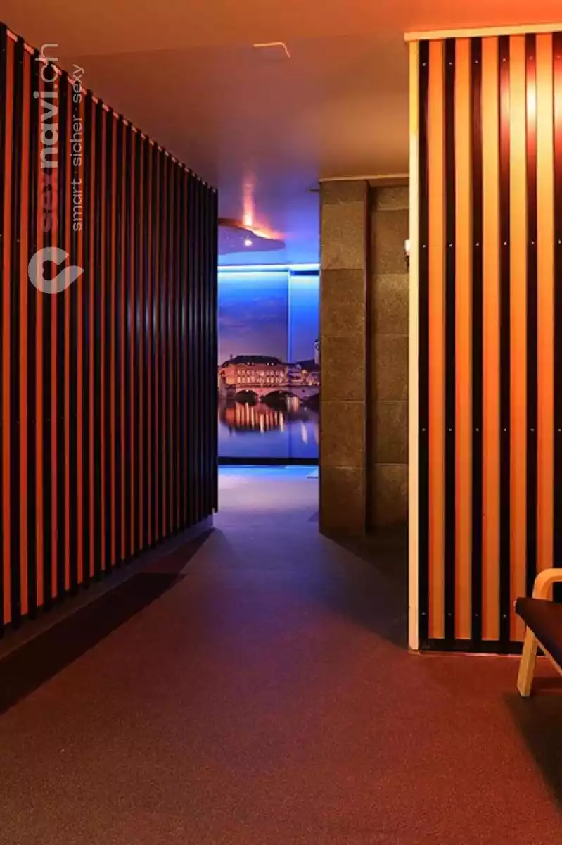 Cäsars Club Sauna Cäsars Club Sauna Zürich Umgebung