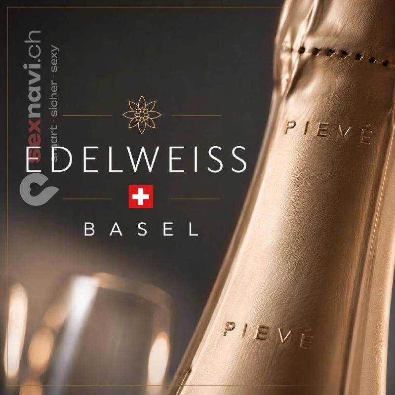 Edelweiss / Sugarbabes Basel Edelweiss / Sugarbabes Basel Basel
