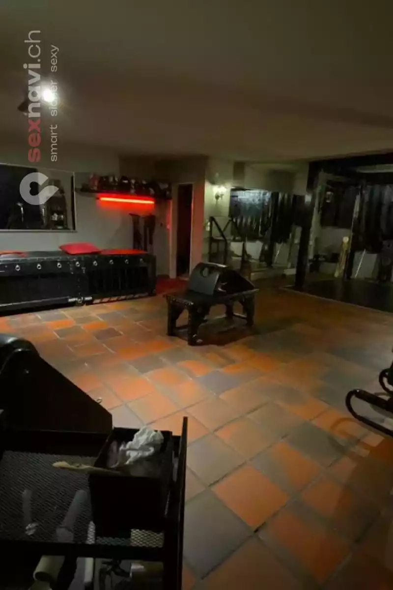 thePENTHOUSE thePENTHOUSE Zürich Umgebung