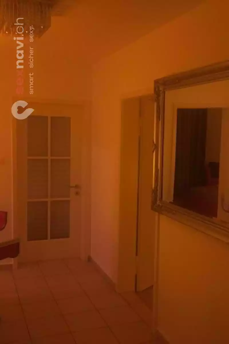 STUDIO ASIA WEI WEI STUDIO ASIA WEI WEI Luzern