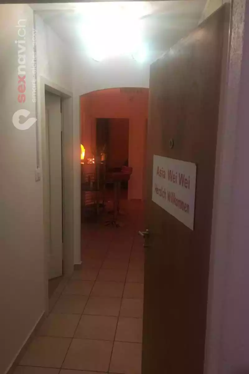 STUDIO ASIA WEI WEI STUDIO ASIA WEI WEI Luzern