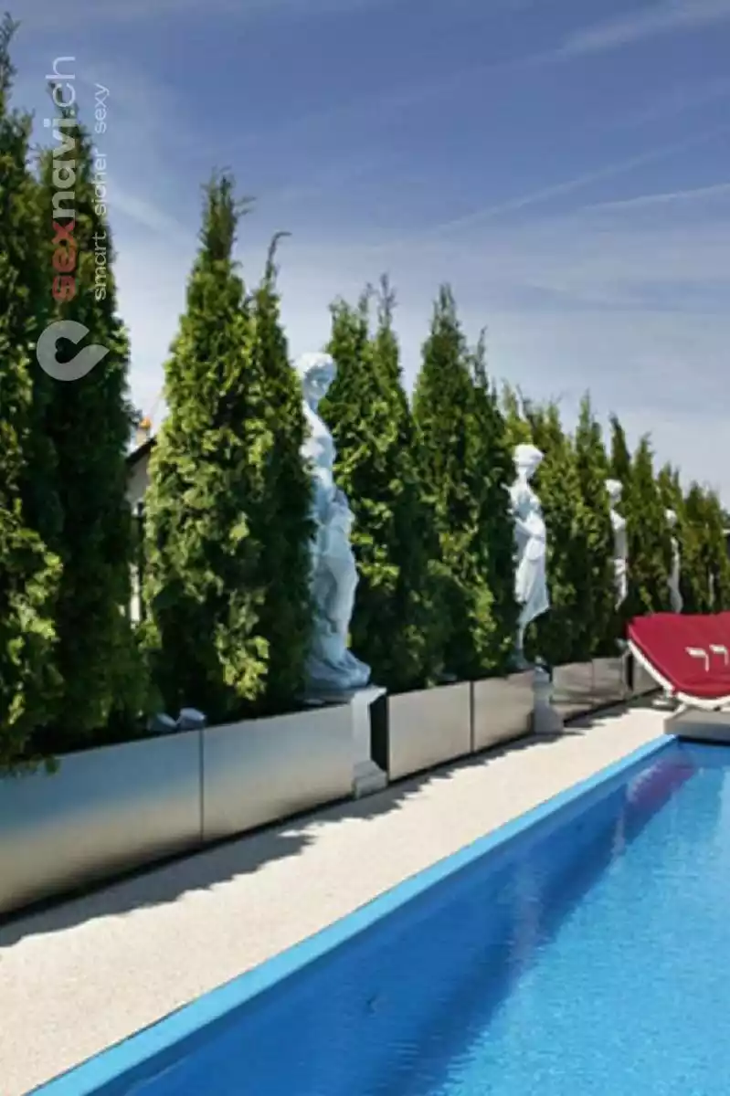 Club History Club History Basel