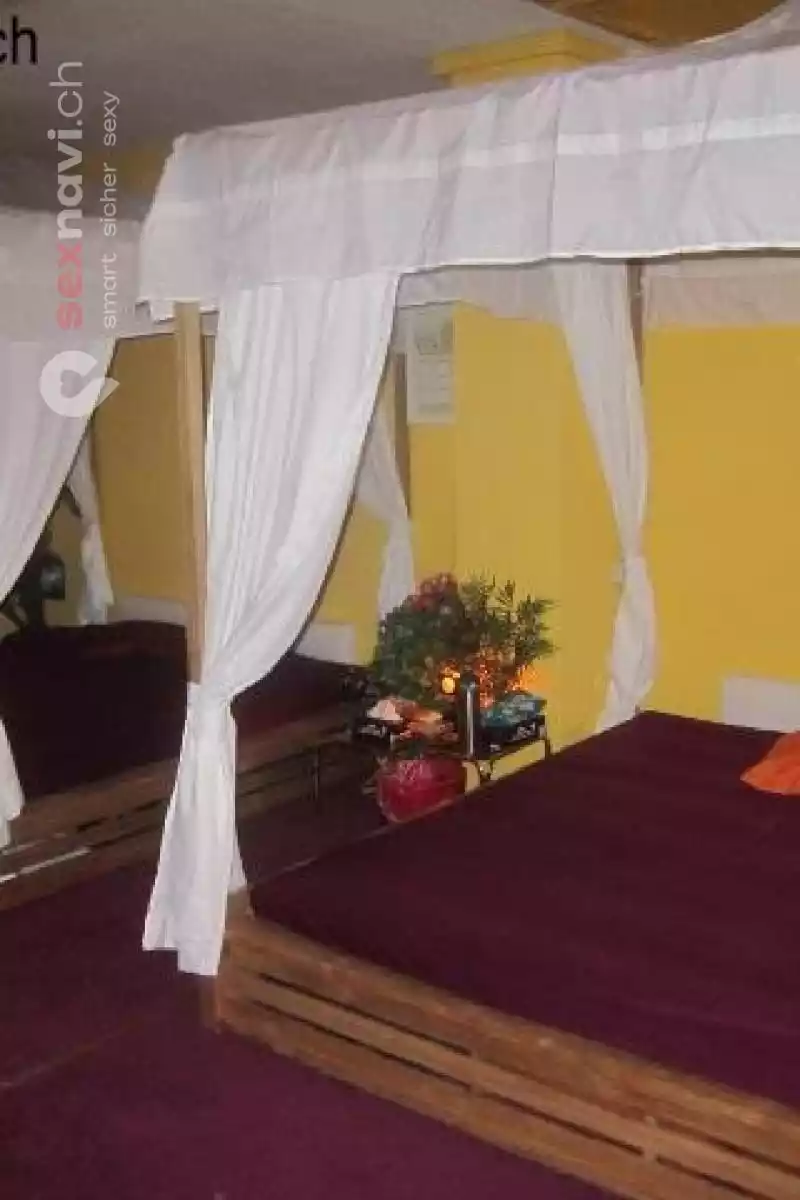 Starways Party Oase Starways Party Oase Zürich Umgebung