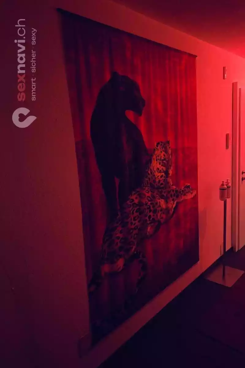 Studio Sunneschi Studio Sunneschi Zürich Stadt