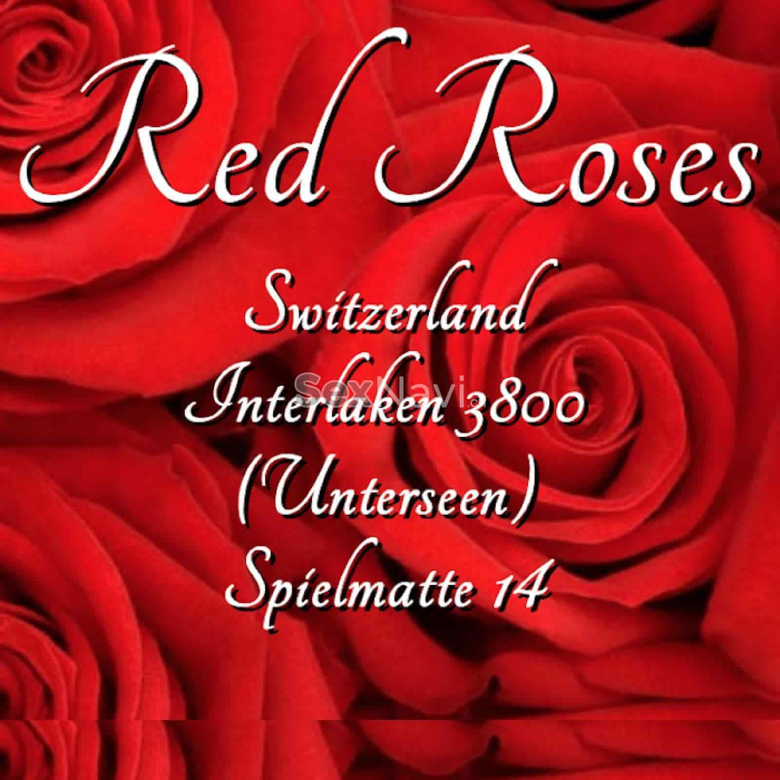 Red Roses 1. OG Red Roses 1. OG Bern Umgebung