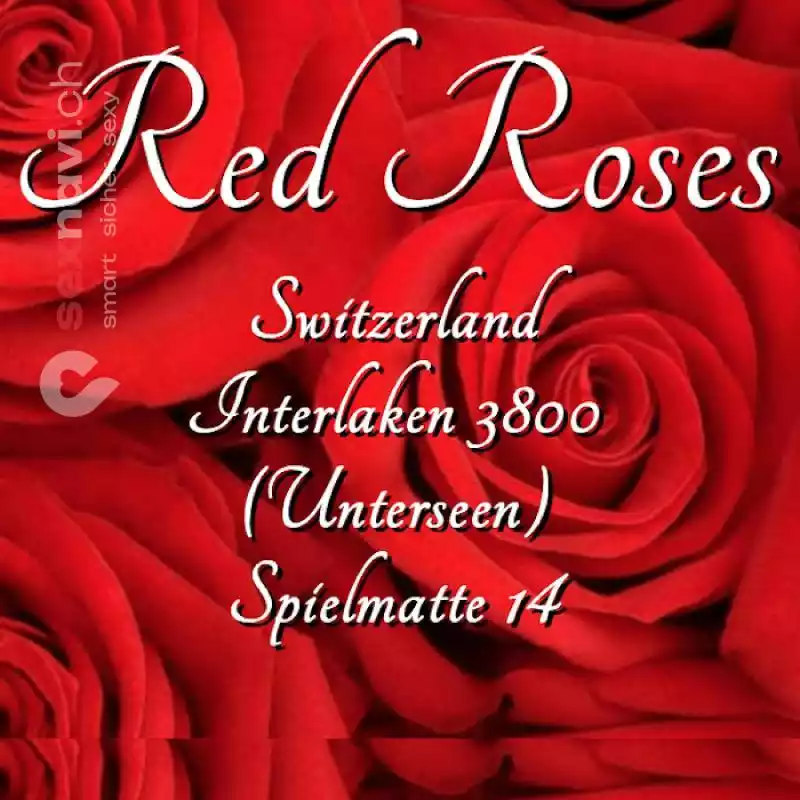 Red Roses 2. OG Red Roses 2. OG Bern Umgebung