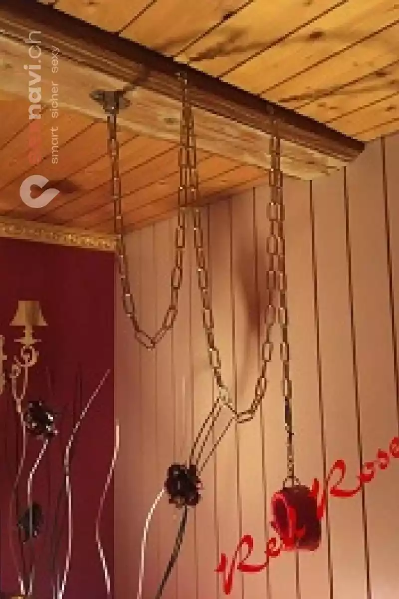 Red Roses 2. OG Red Roses 2. OG Bern Umgebung