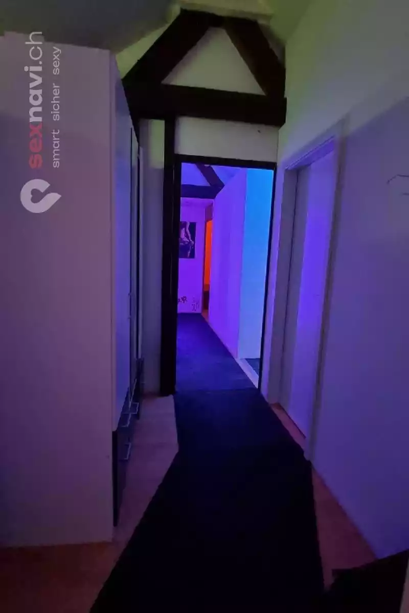 Maison 6 I Maison 6 I Aargau