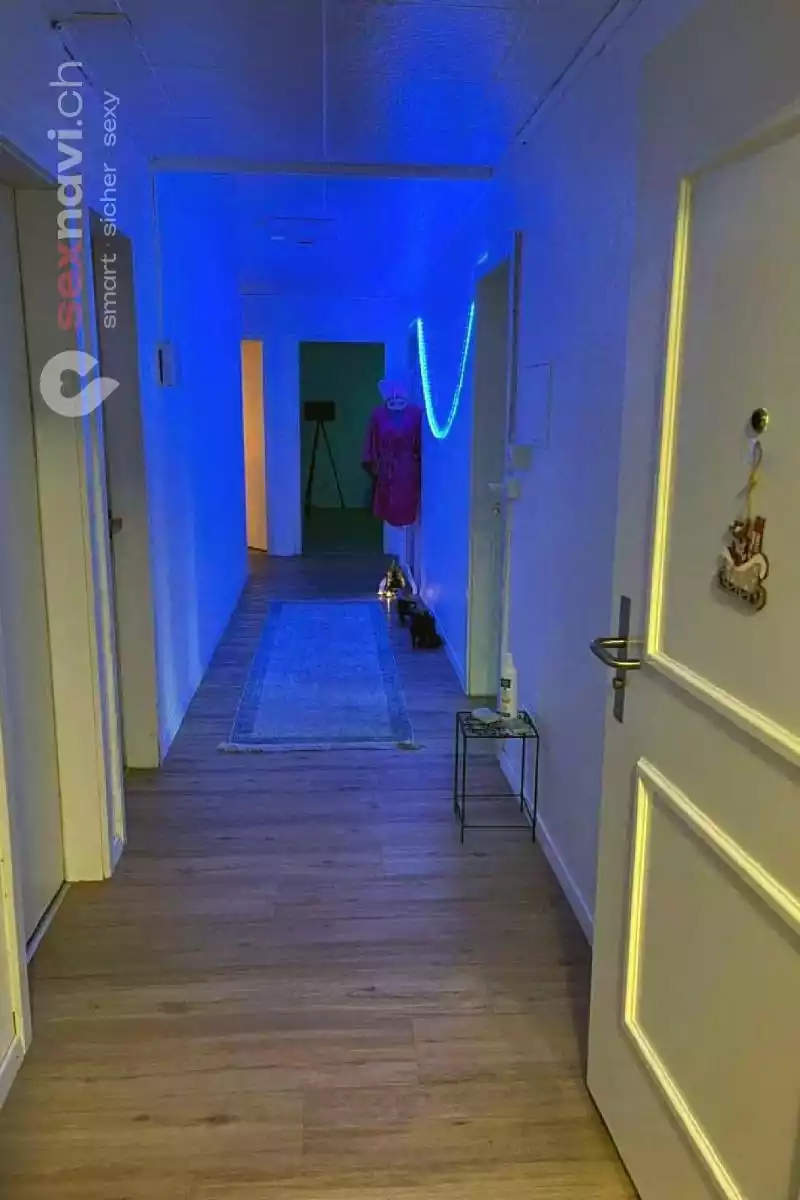 Medusa Medusa Solothurn