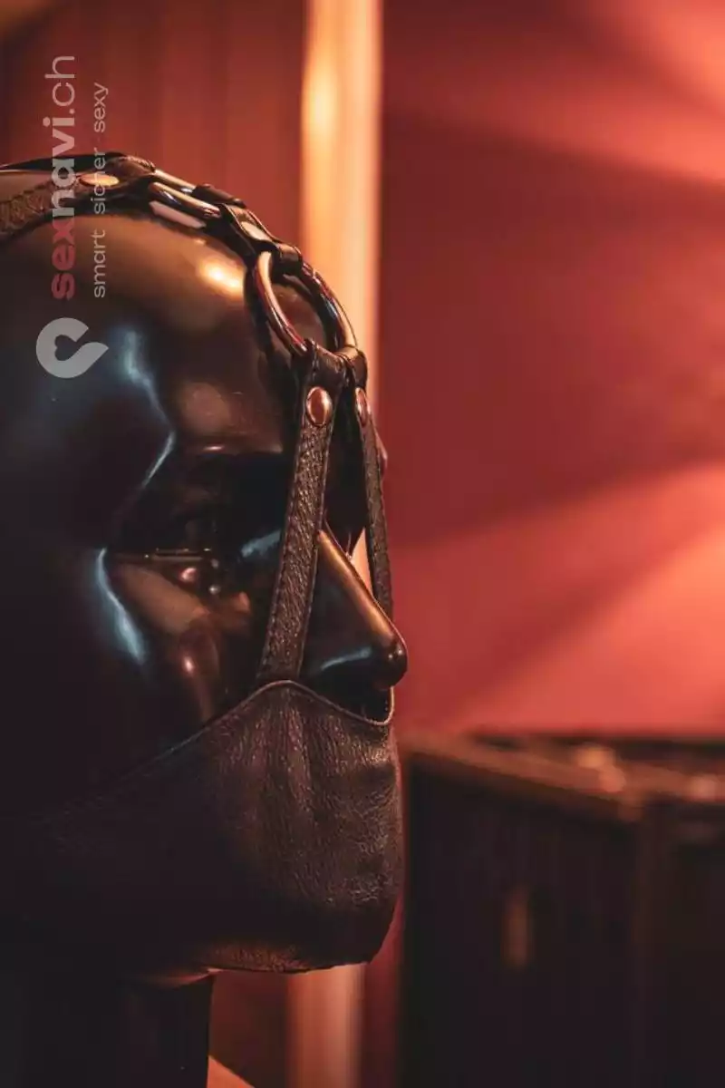 SM Lounge SM Lounge Zürich Umgebung