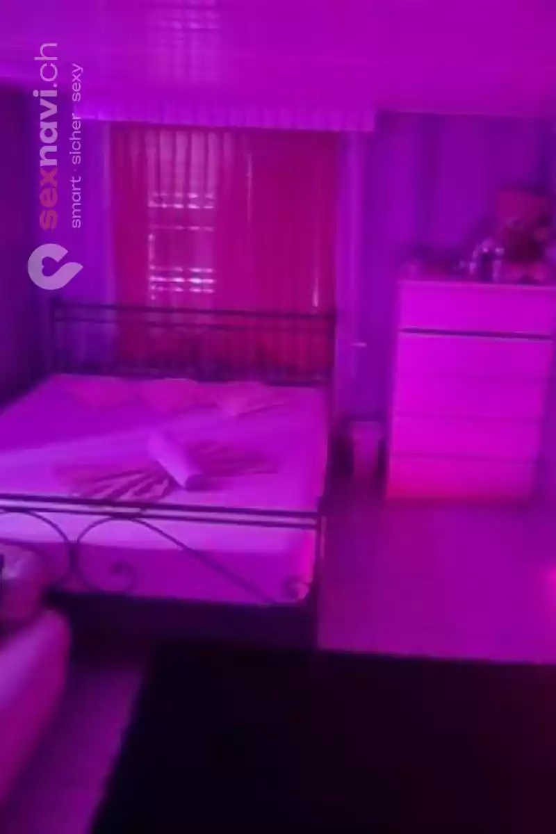 Budapest Girls Budapest Girls Zürich Umgebung