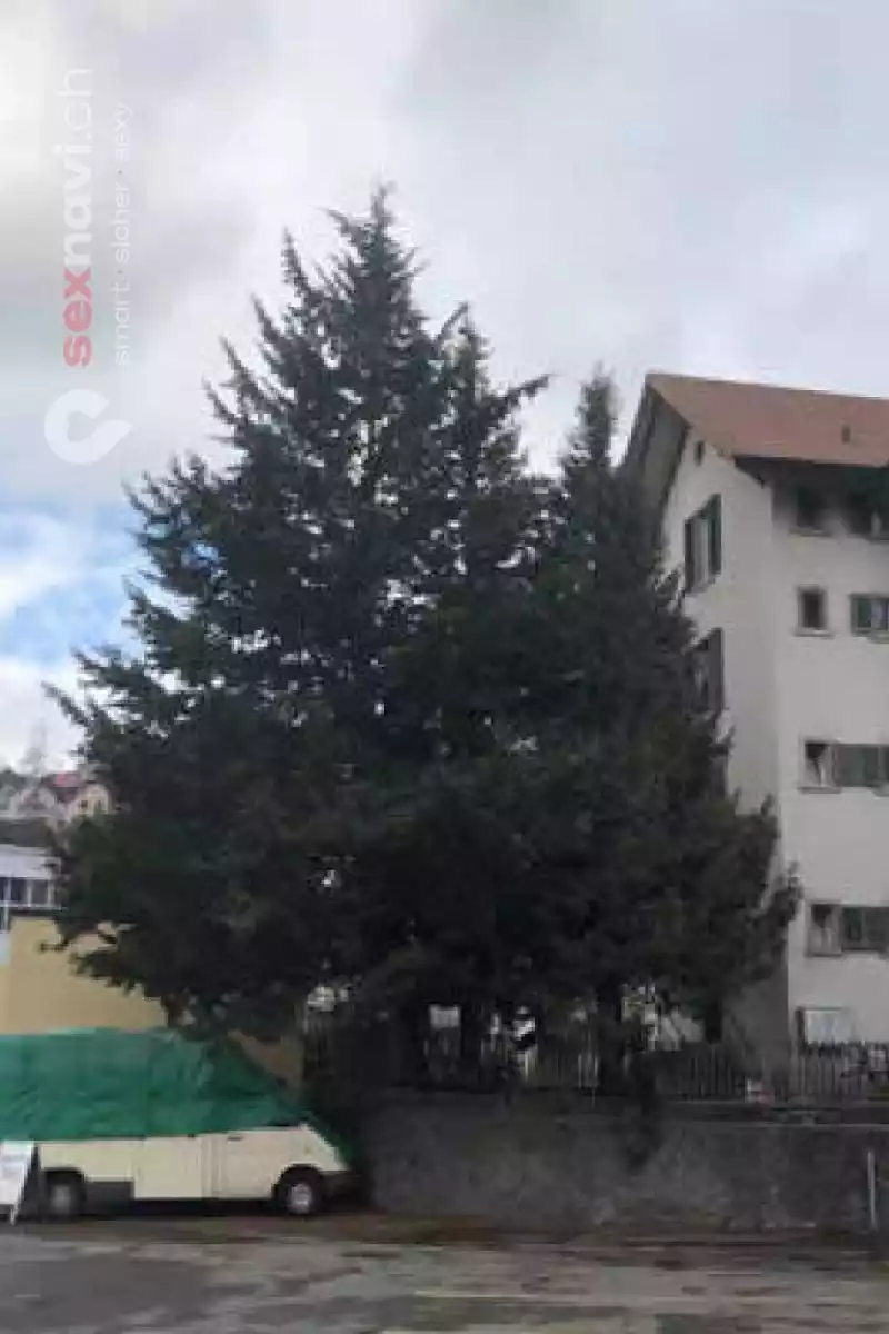 Asia Angels Asia Angels Zürich Umgebung