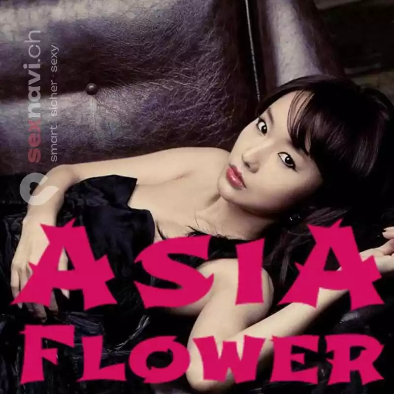 Asia Flower Asia Flower Zürich Umgebung