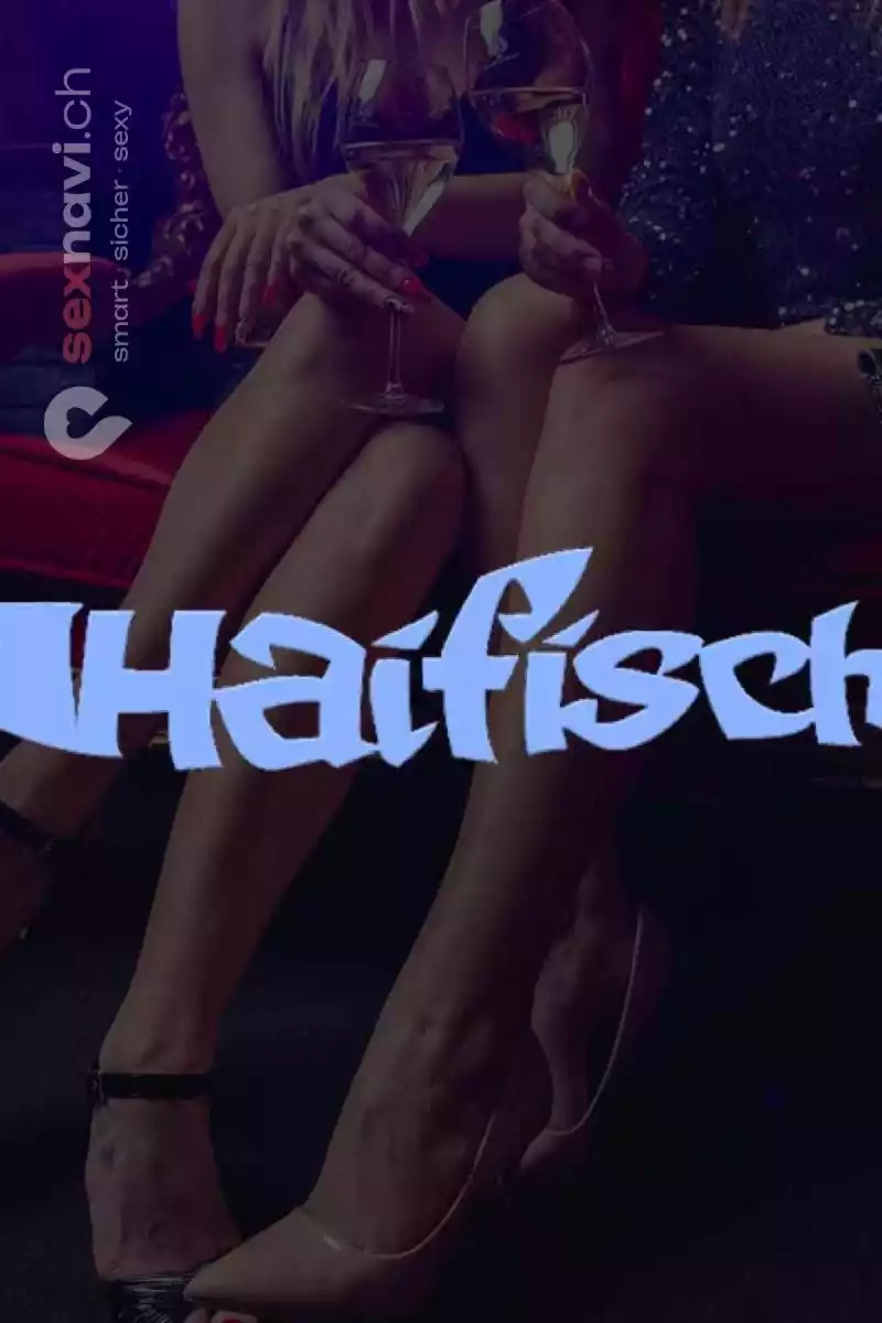 Haifisch Haifisch Zürich Stadt