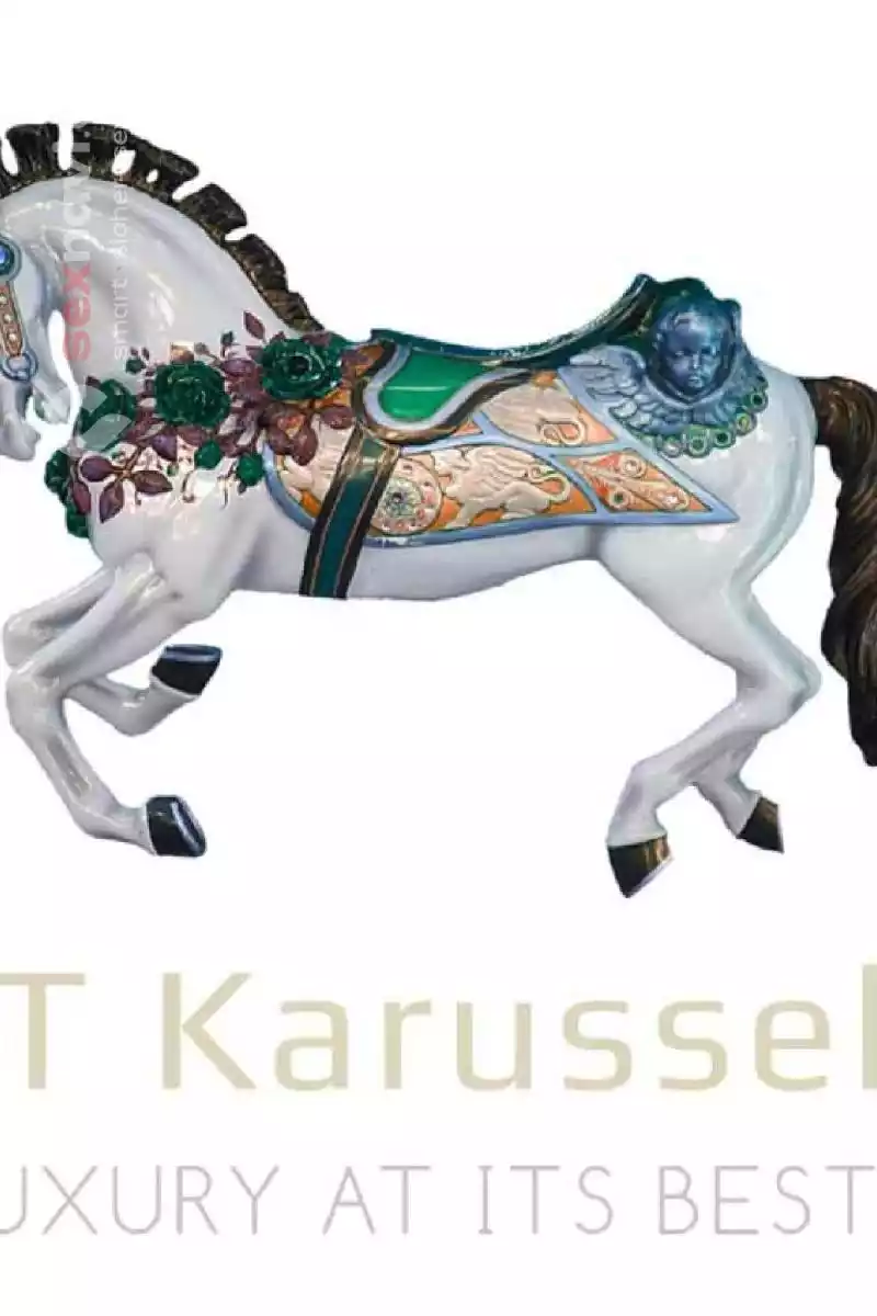 ET Karussell Wetzikon ZH ET Karussell Wetzikon ZH Zürich Umgebung