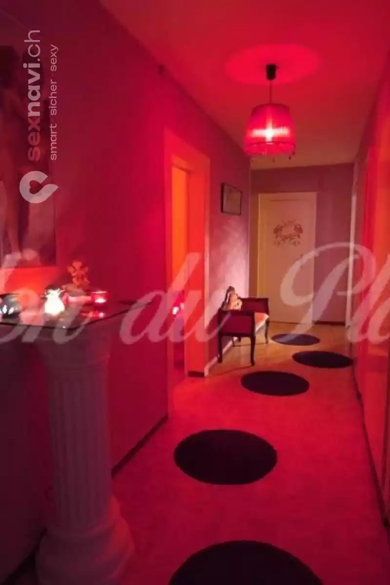 Salon du Plaisir Salon du Plaisir Neuchatel / Neuenburg