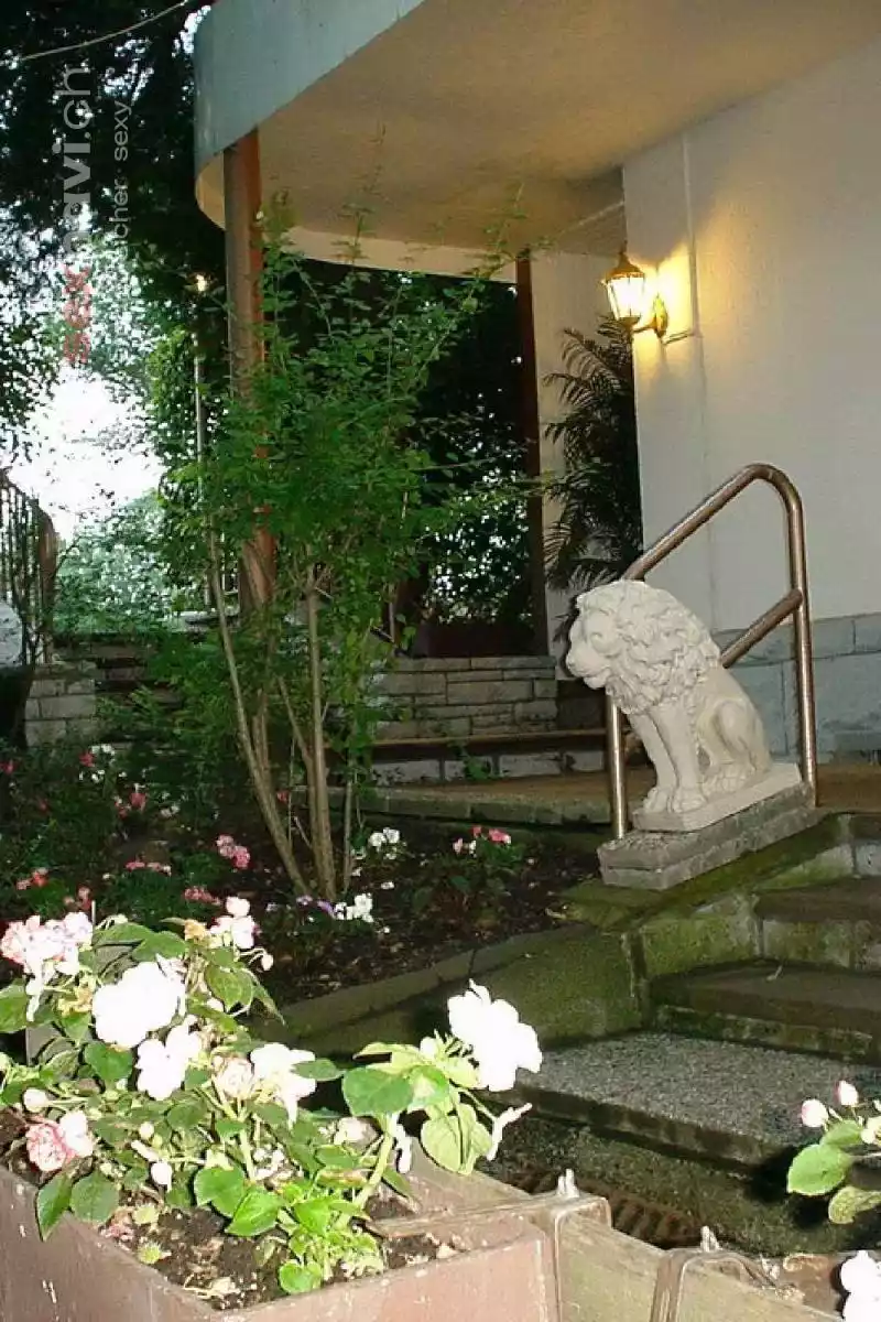 Big Spender Big Spender Hessen