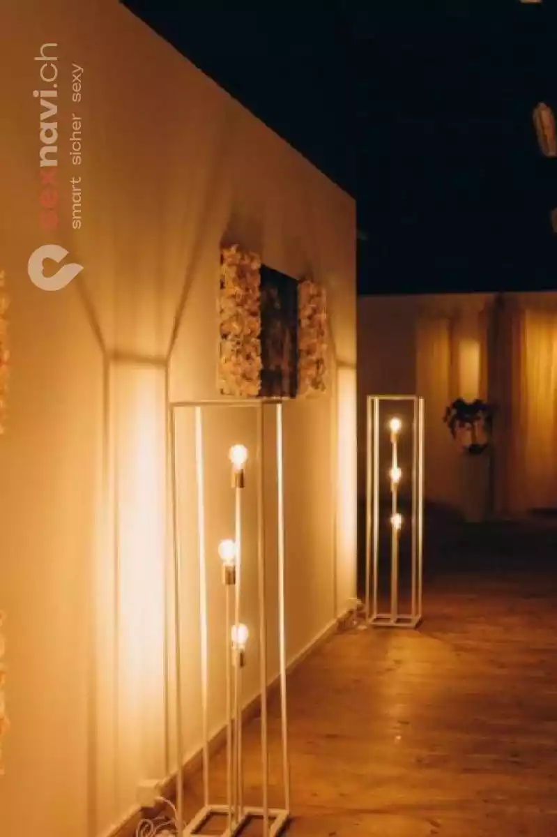 Maxim Massage Maxim Massage Zürich Umgebung