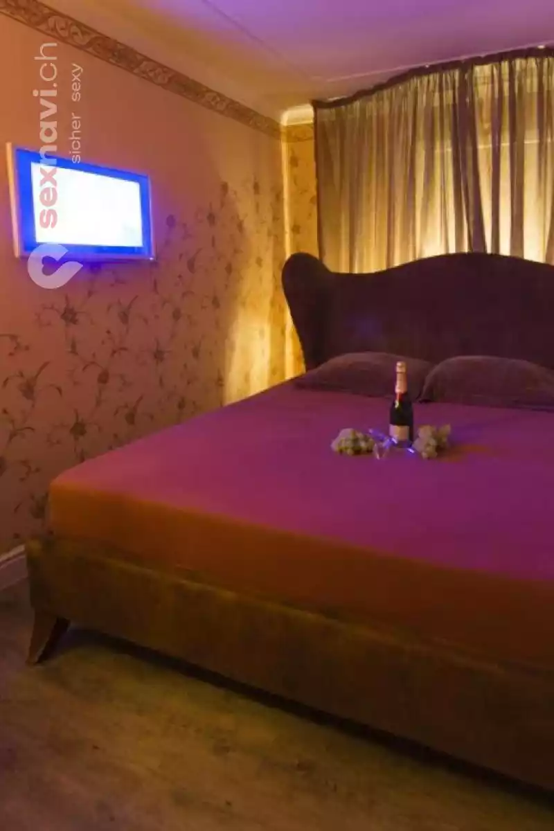 Club Purple Club Purple Rheinland-Pfalz