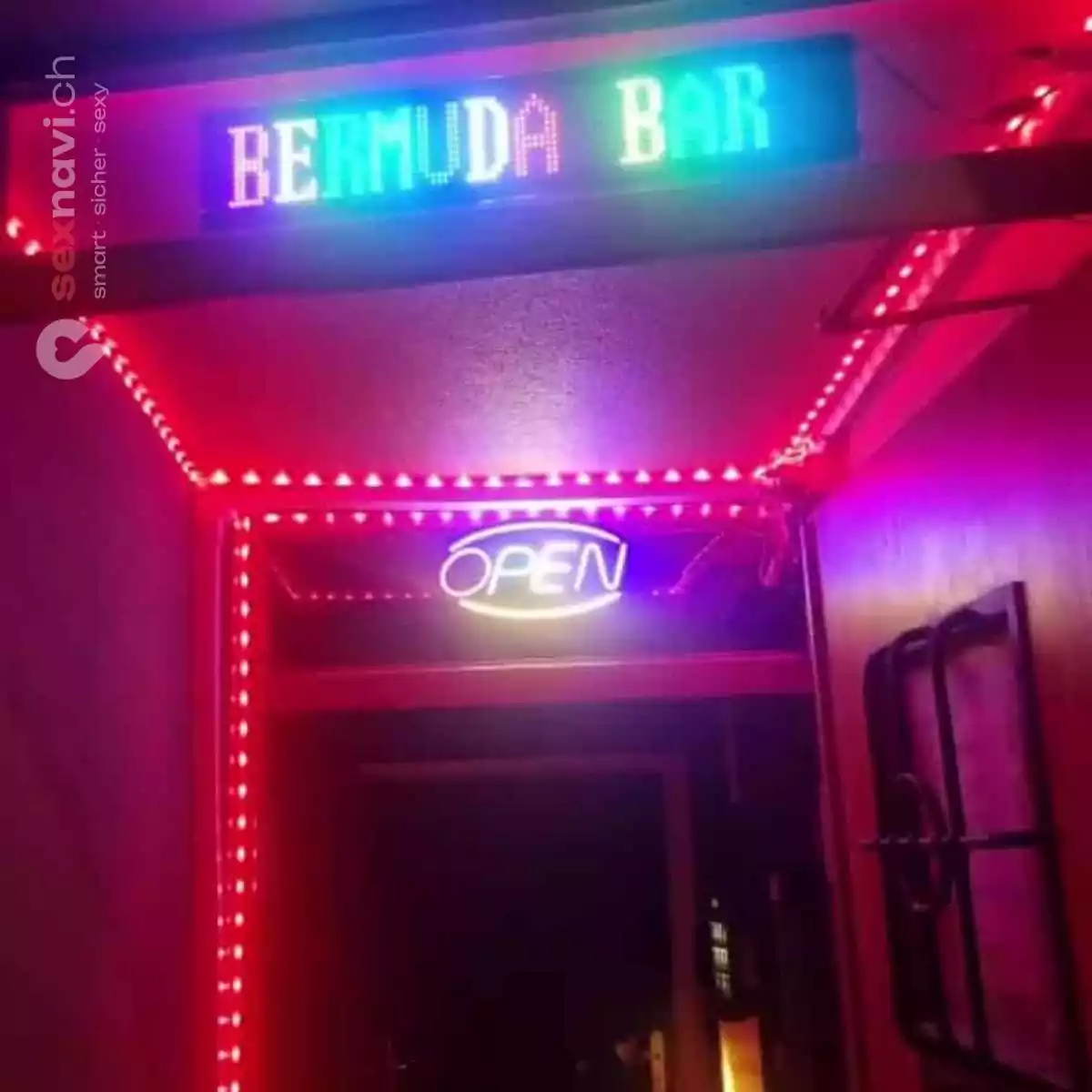 Bermuda Bar Bermuda Bar Basel