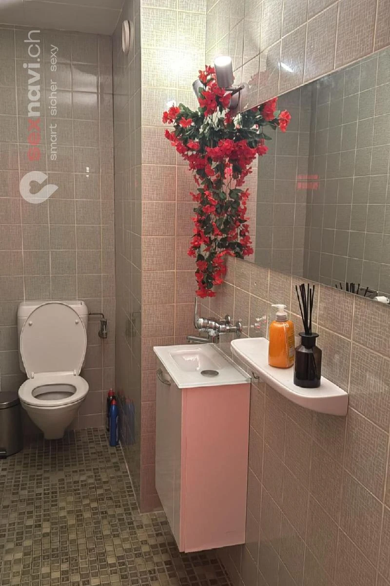 5 Zimmer Studio / SO 120 m2 seit 30 Jahren Oensingen, Schweiz, Solothurn
