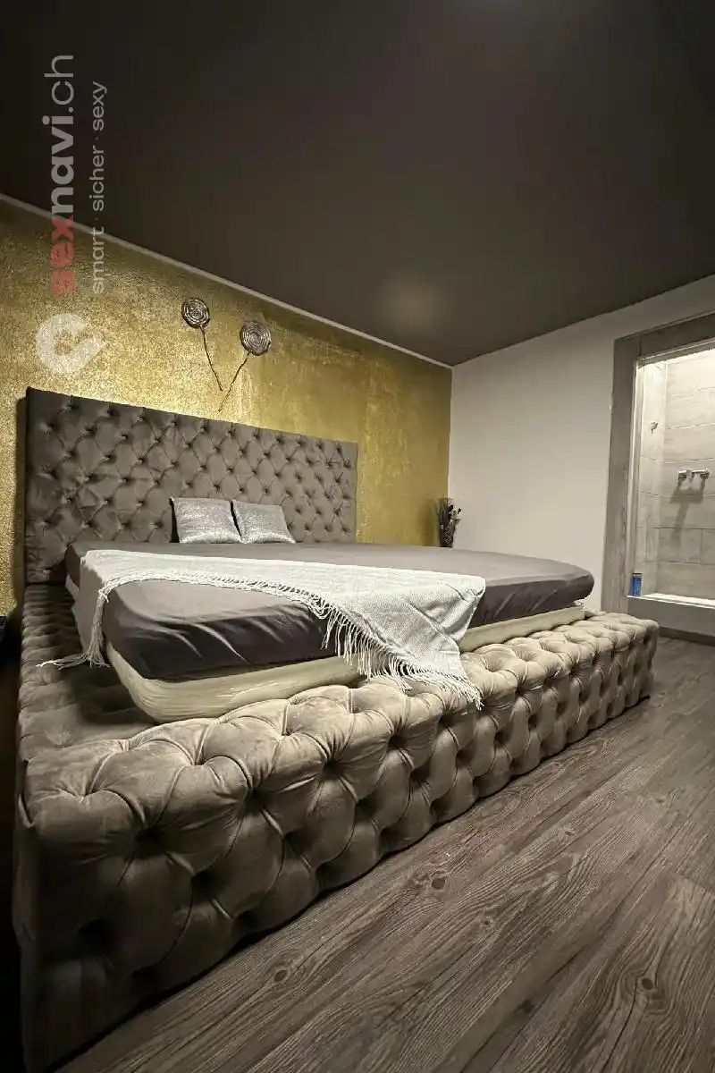 Studio abzugeben Komplettes Haus 3.000 CHF/M Schweiz, Solothurn, Trimbach