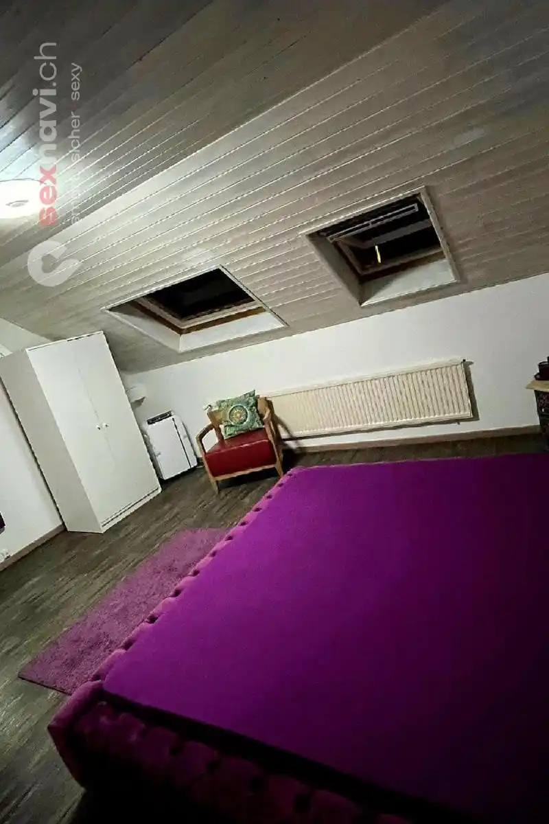 Studio abzugeben Komplettes Haus 3.000 CHF/M Schweiz, Solothurn, Trimbach