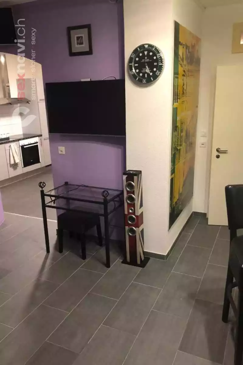 Sankt Gallen Zentrum Schöne eingerichtete Wohnung St.Gallen, Schweiz, St. Gallen