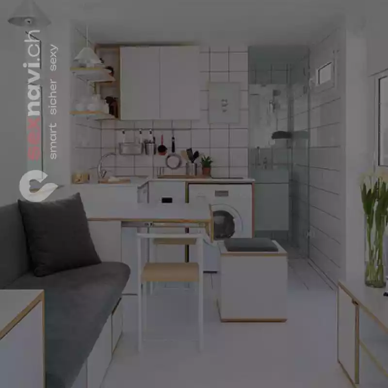 1 Zimmer Apartment 💰💰kompl. m&ouml;bliert 💰 💰 Basel, Basel, Schweiz