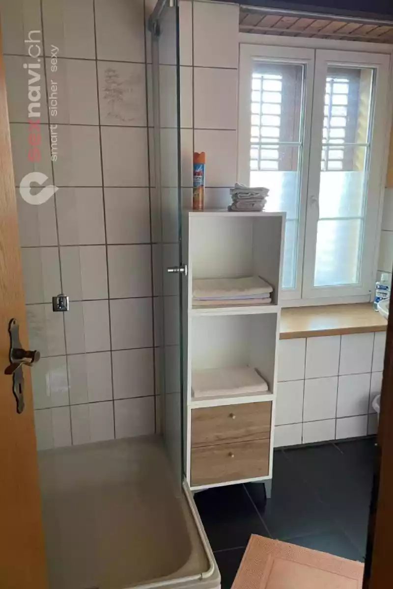 Untermieterin gesu. Stunden / Tageweise Aargau, Schweiz, Hendschiken