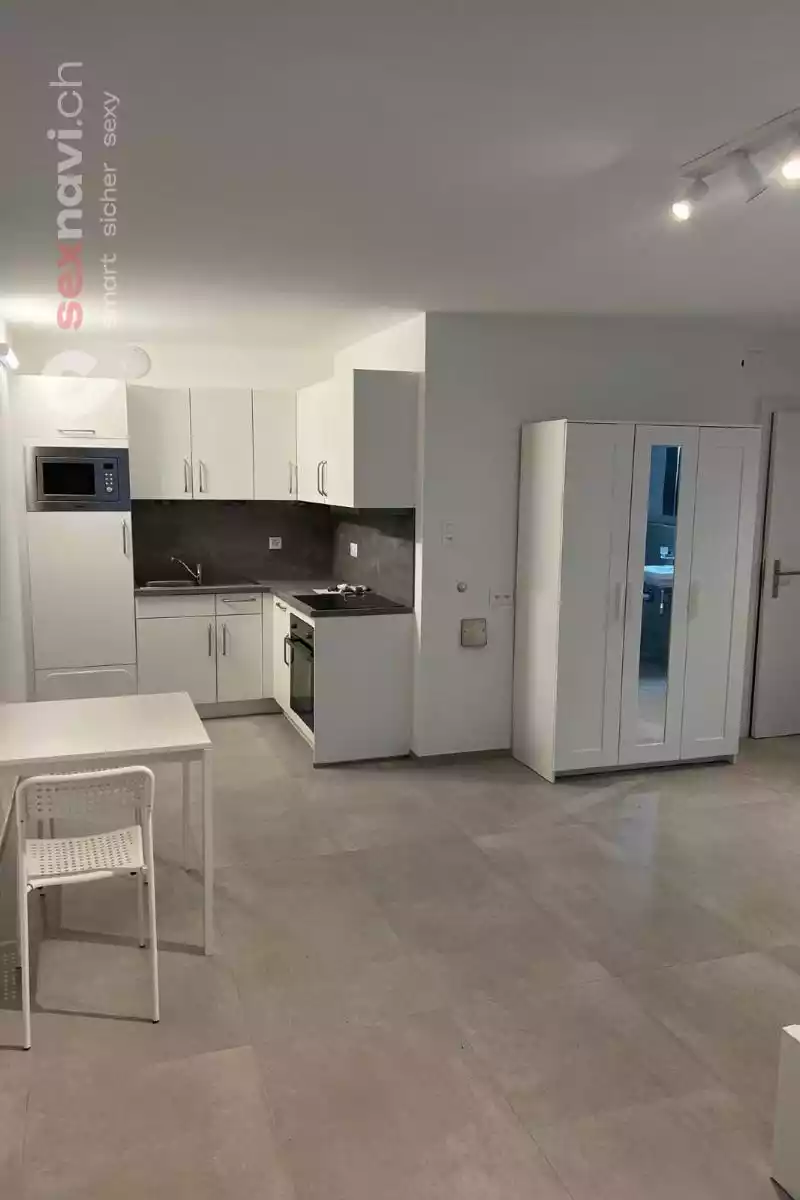 Wohnen und Arbeiten Top renovierte Wohnung Basel Basel, Basel, Schweiz