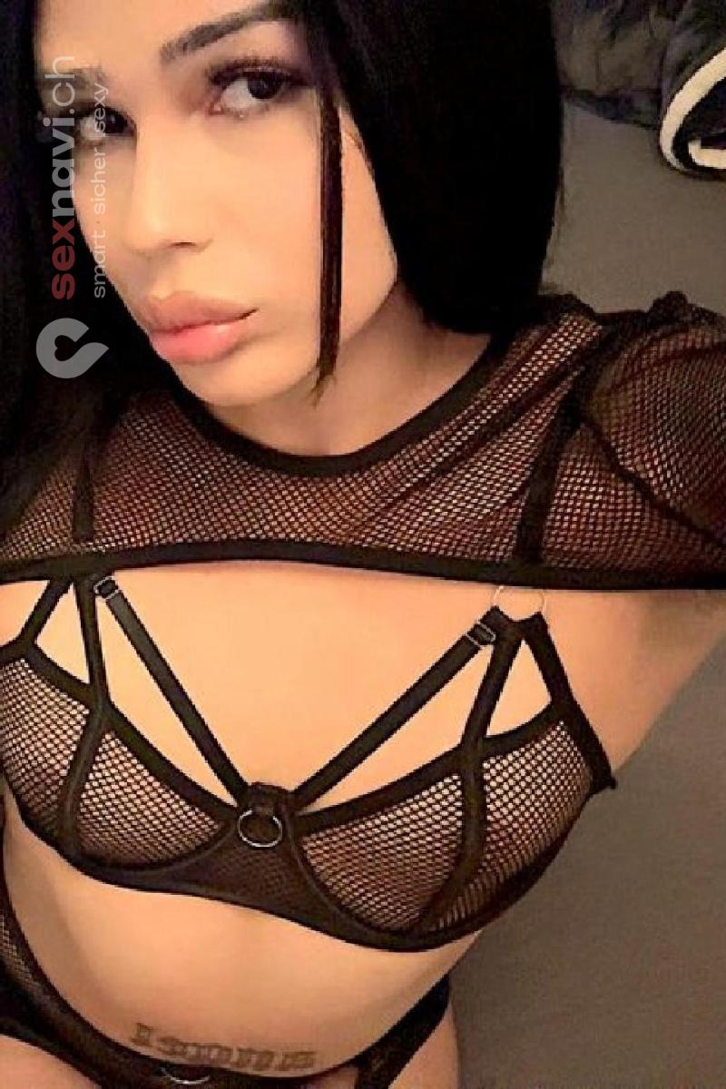 TS-MERRY Brand-heisse Trans... Basel, Basel, Schweiz