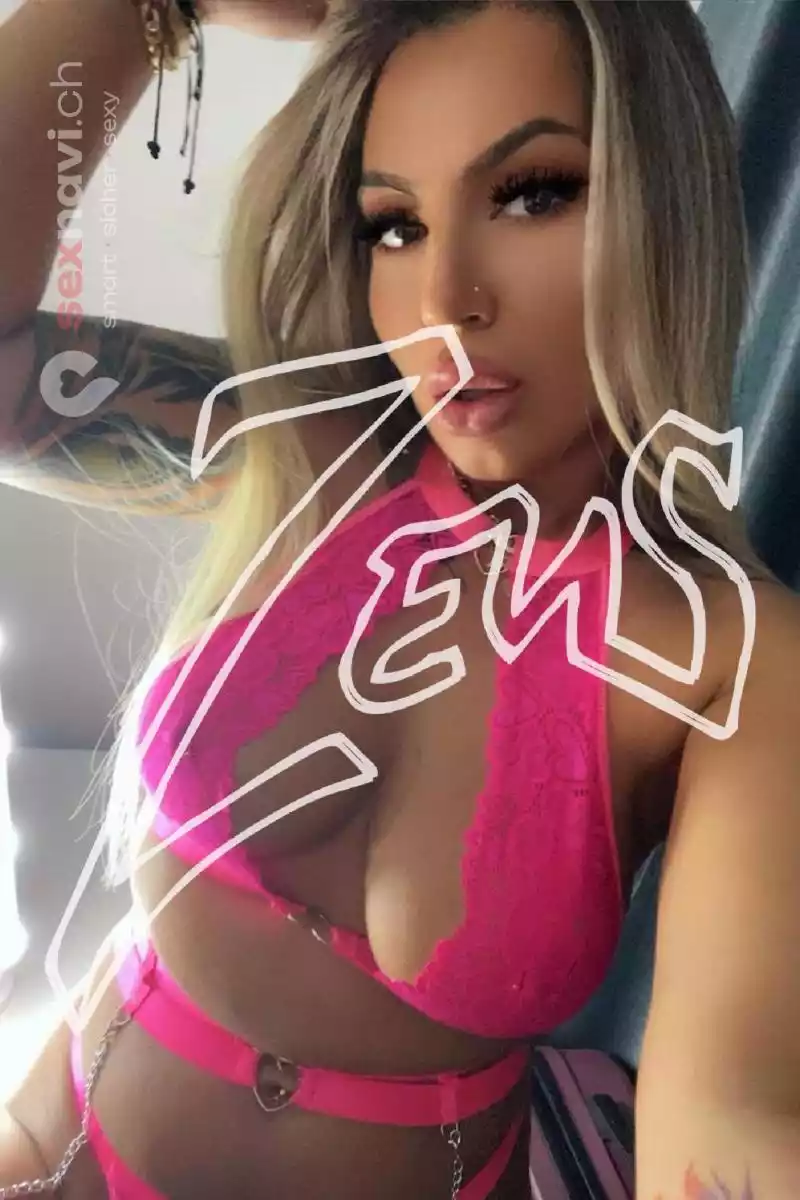 MELI ab Zug, Schweiz, Luzern , Schwyz, Küssnacht am Rigi