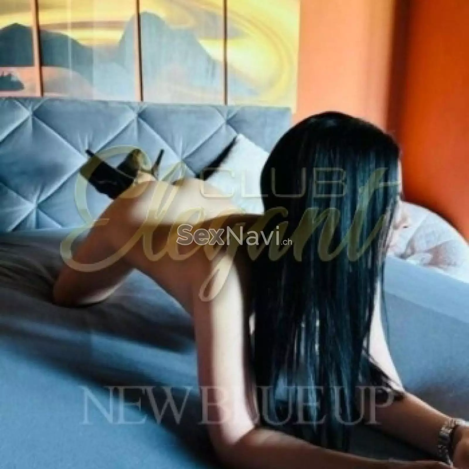 Nikoll 🔥Top Service garantiert 🔥 St.Gallen, Thurgau, Schweiz, Oberbüren