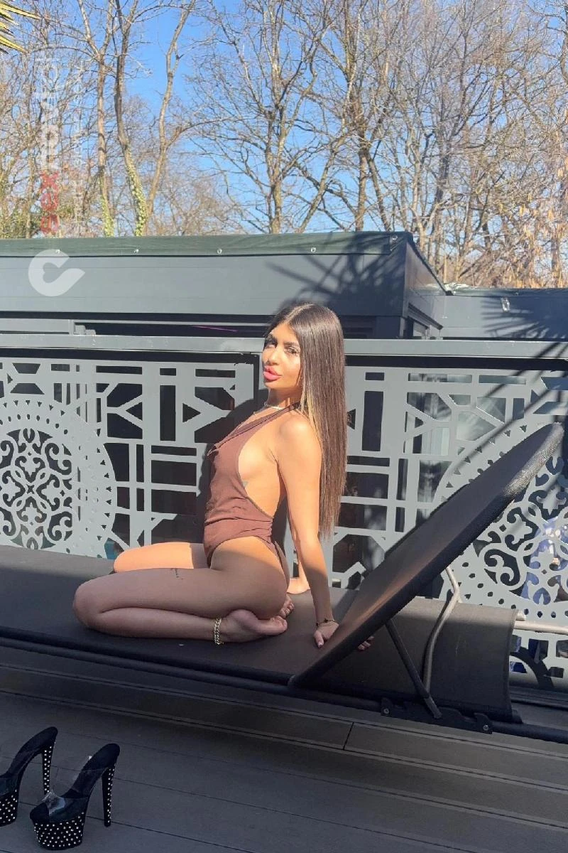 Foxi 🔥 Top Service Luzern 🔥 Basel, Luzern, Aargau, Schweiz, Luzern